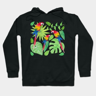 Parrot Rainbow Ombre with Green Plants, Monstera, Vines, Palm Fronds, Philodendron Gloriosum, and Anthurium Warocqueanum Leaves Hoodie